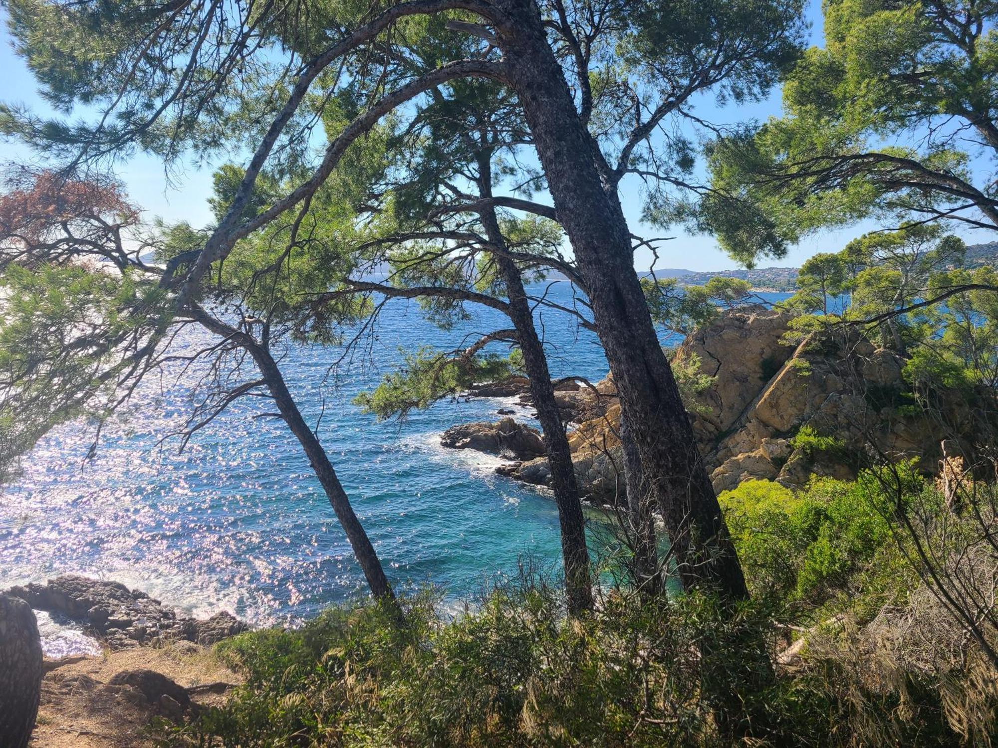 Evasion Nature A Cap Esterel Jardin, Mer & Golf Tout Confort Saint-Raphaël Exteriör bild